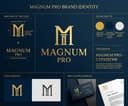 Дмитрий Прокофьев, основатель Magnum Pro